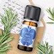 Jia Meile Rosemary Essential Oil 10ml Soft and Refreshing Essential Oil Aromatherapy Authentic Product