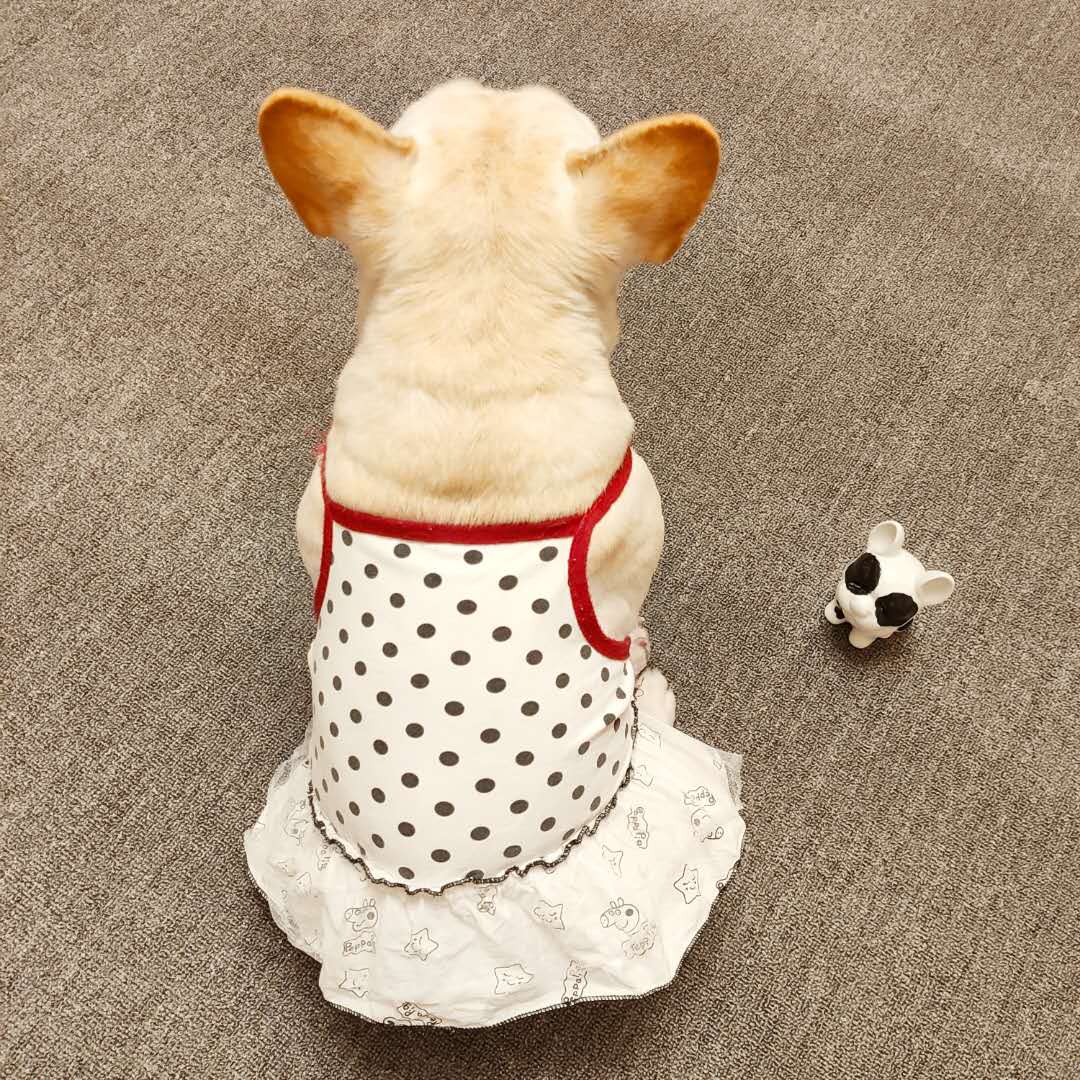 Fardou Skirt Bagbrother Short Fat Dog Clothes Summer Cute Cartoon Harness dress Comfortable With Elastic Pooch Vest