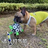 Интерактивная игрушка, футбольный прыгучий мяч для тренировок, домашний питомец, избавление от скуки