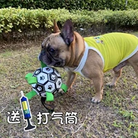 Интерактивная игрушка, футбольный прыгучий мяч для тренировок, домашний питомец, избавление от скуки