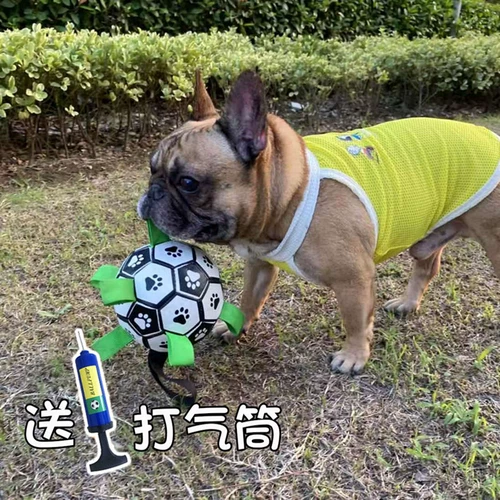 Интерактивная игрушка, футбольный прыгучий мяч для тренировок, домашний питомец, избавление от скуки