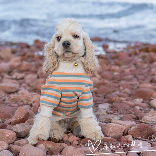 Карта Gingrain Dogye Teddy Jizi Doll Berlier Barrog Dog Clothing Spring и осень -тонкая полосатая полоса