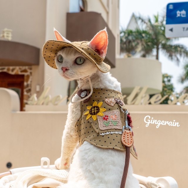 GINGERAIN camping outdoor style denim walk cat harness leash set German hairless cat vest