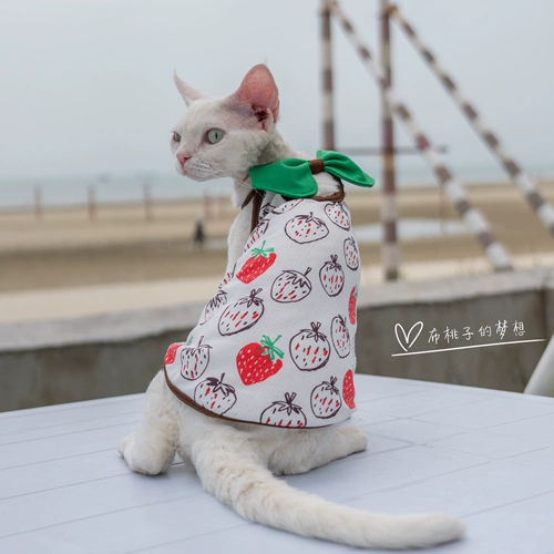Гингрейн безволосой кошка Camisole German Cat Одежда кошка чистое хлопковое бамбуковое уплотнение качество листьев
