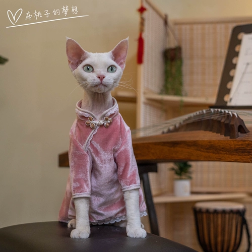 Джинджер-кошачья одежда Dewen Cat Cheongsam бархатный кружев