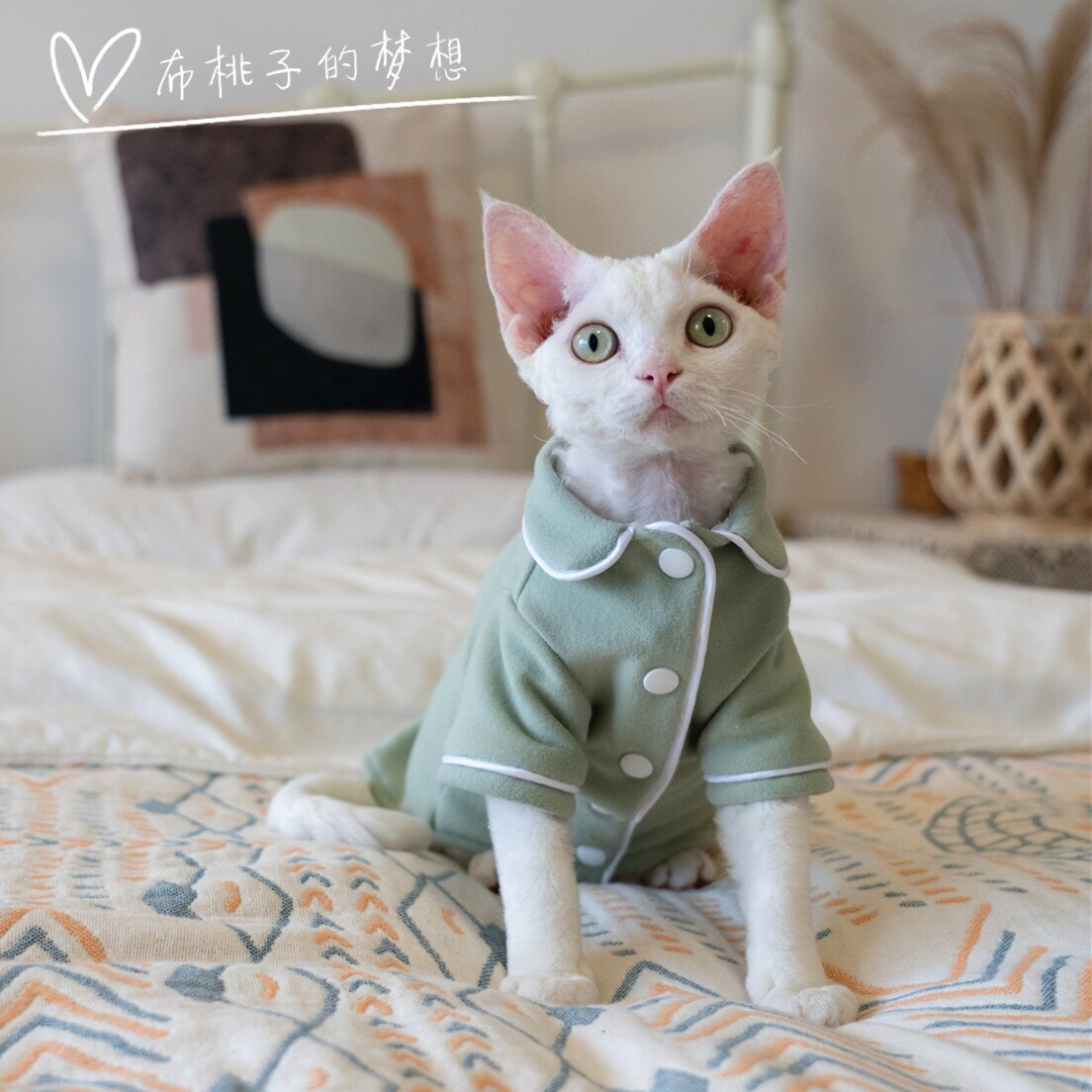 GINGERAIN Hairless Cat Clothes Devon Cornis Japan Double Sided Warm Down Air Conditioning Pajamas