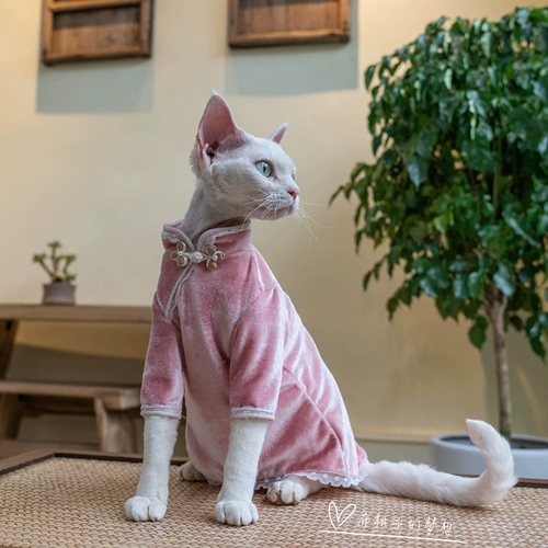 Джинджер-кошачья одежда Dewen Cat Cheongsam бархатный кружев