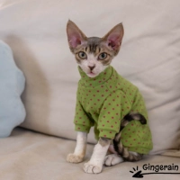 Зеленый Дайанмей