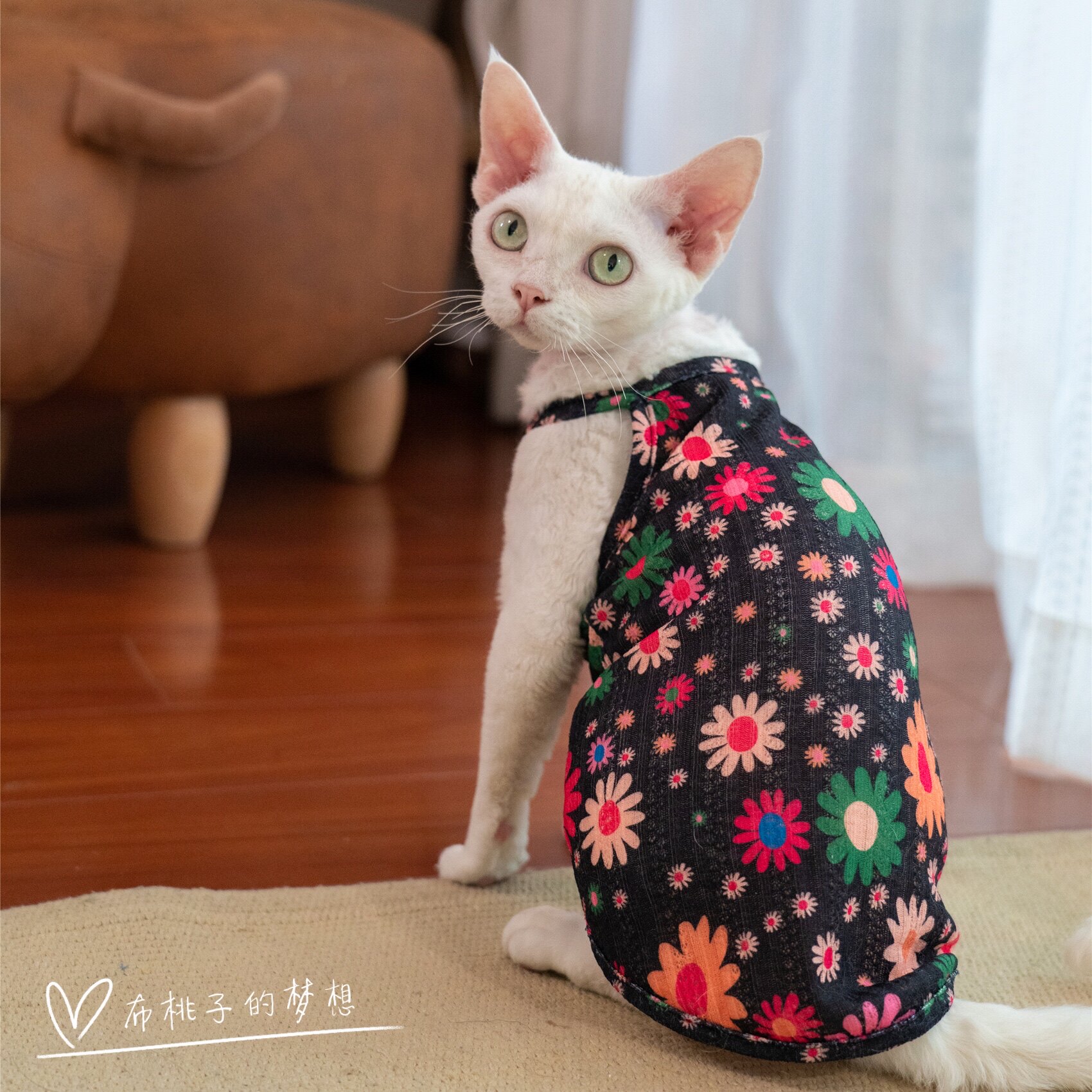 GINGERAIN German cat clothes hairless cat summer hollow flower suspenders cool breathable comfortable thin vest
