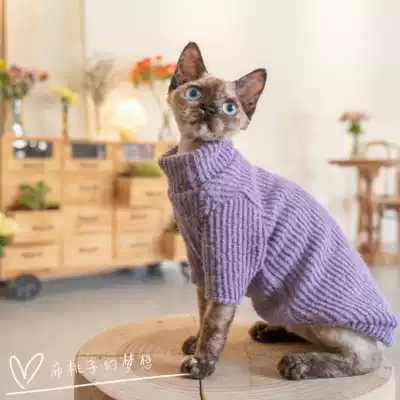 GINGERAIN hairless cat Devon cat cat clothes spring and autumn sweater gentle warm temperament little fairy