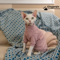 Фонд белая точка