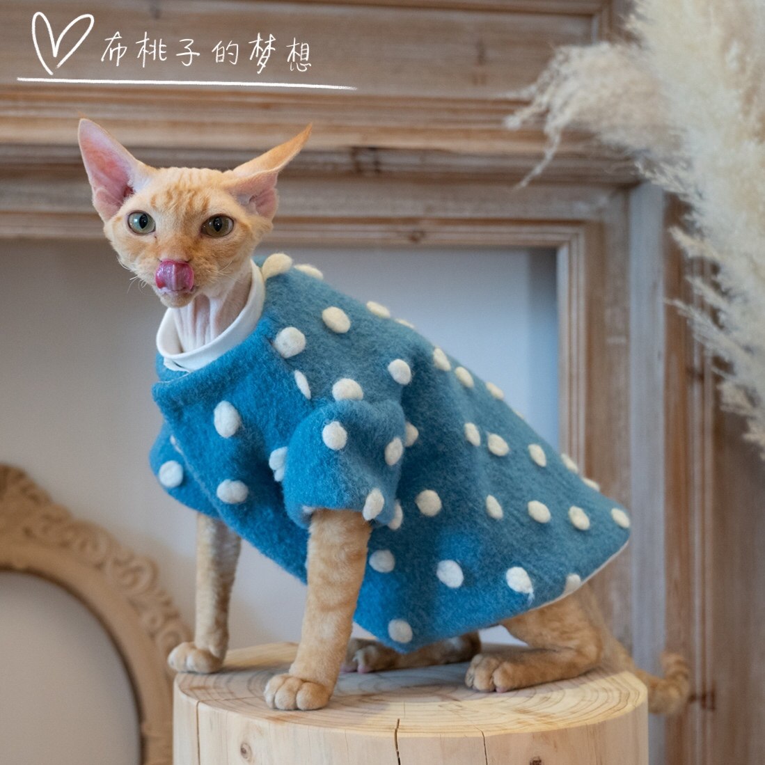 GINGERAIN HAIRLESS CAT DEVON CLOTHES SPHINX HIGH-end JACQUARD cashmere WOOL COAT