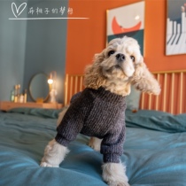 GINGERAIN COCKER SPANIEL TEDDY BEAR WARM base long sleeve dirty sweater