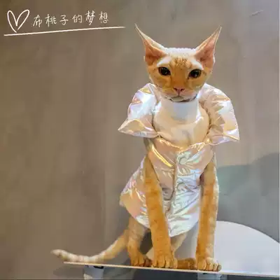 GINGERAIN HAIRLESS CAT CLOTHES DEVON CAT Sphinx König DOWN JACKET COTTON WINTER