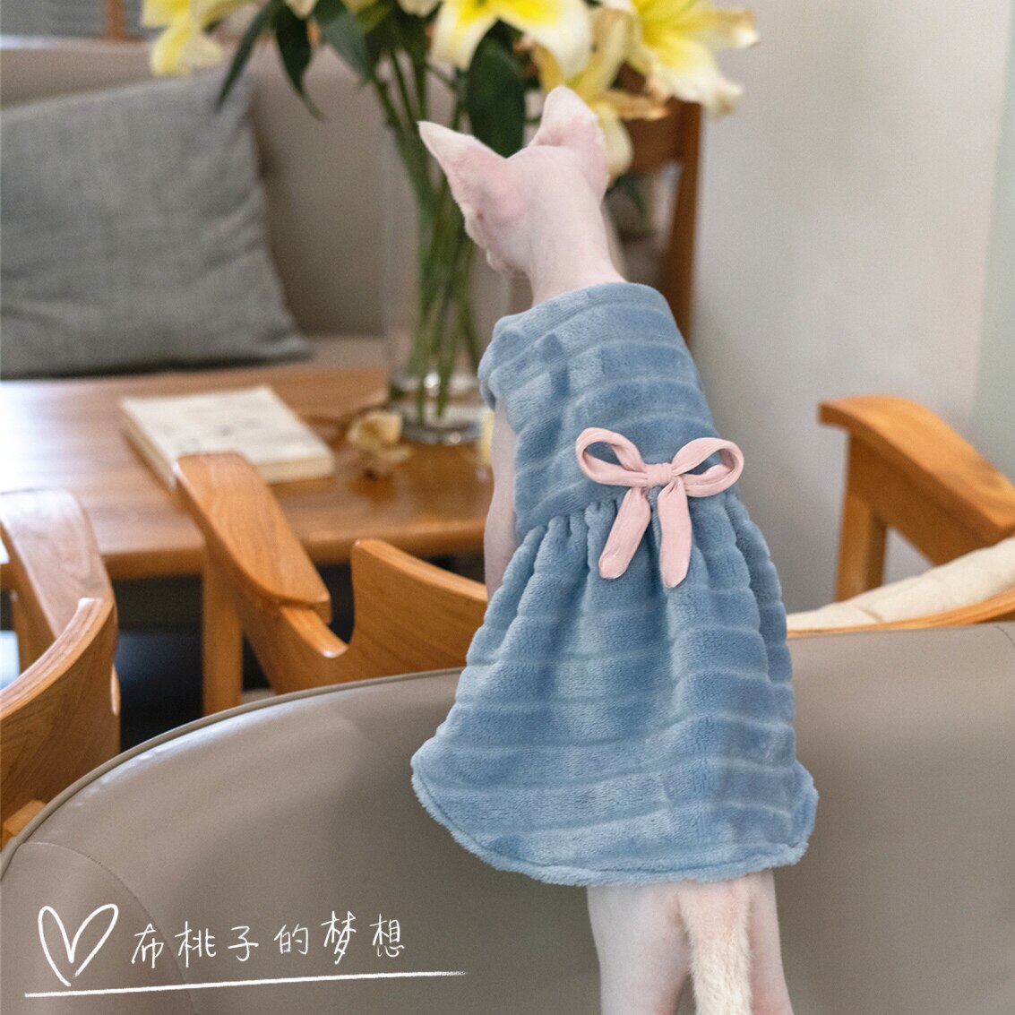 GINGERAIN GERMAN CAT CLOTHES HAIRLESS CAT DOUBLE-SIDED VELVET WARM cat MATERNITY DRESS MATERNITY DRESS