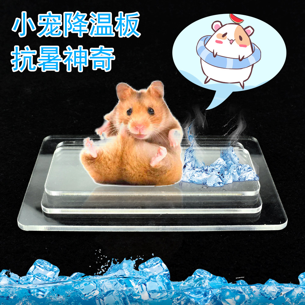 Hamster cooling plate large, medium and small small pet ice pad cooling cold bedroom cooling cooling plate low price hot sale