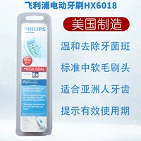 HX6018