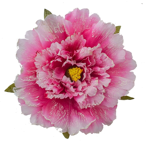 Церемония открытия детского сада танцевать