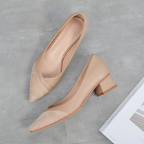 women's high heels spring autumn 2022 new bridesmaid shoes nude pointed toe chunky heels low-heeled all matching work shoes 3cm