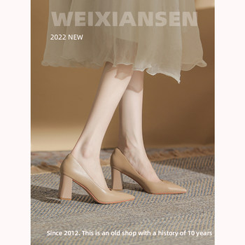 French-Style High Heels for Women, New Mid-Heel Shoes for Autumn, Pointed-Toe Nude Bridesmaid Shoes, Chunky Heel Work Shoes for Women