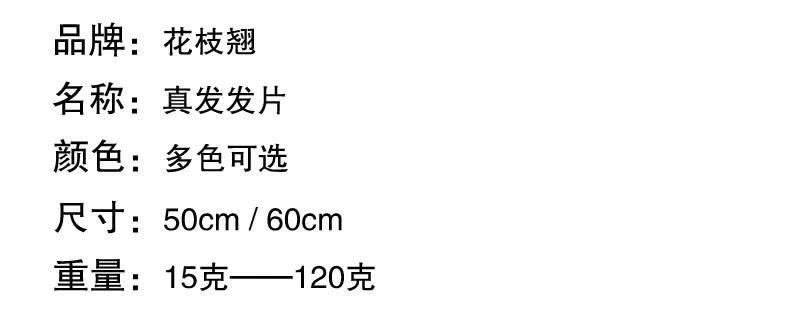 Extension mèches - Ref 220521 Image 14