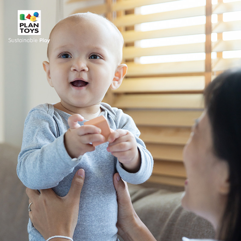 Thailand PlanToys5257 Macaron sensory practice set wooden baby baby hand to appease and amuse toys