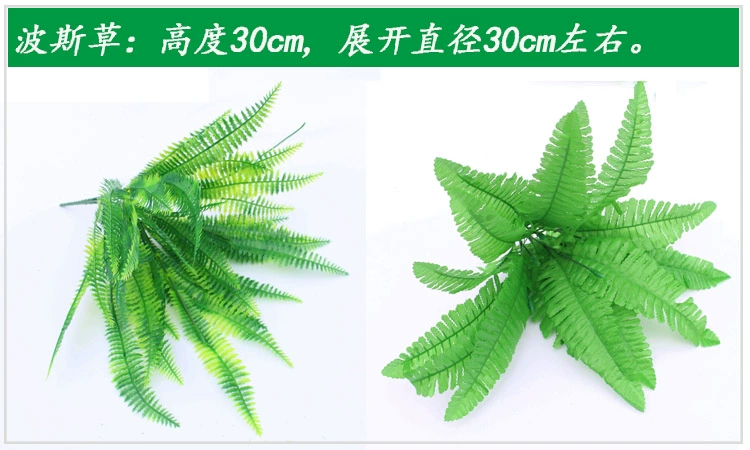 Mô phỏng cây xanh cỏ hoa giả tường Ba Tư cỏ kỹ thuật khách sạn phòng khách trung tâm mua sắm phụ kiện hoa nhựa trang trí - Hoa nhân tạo / Cây / Trái cây