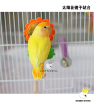Small bird parrot sunflower platform feeder box food pot bird platform tiger skin peony bird head