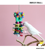 Bird head parrot nibbling toy green pepper big man small and medium parrot toy