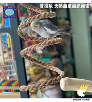 Natural sisal rope swing ladder climbing Parrot toy Parrot climbing bite-resistant toy Plani