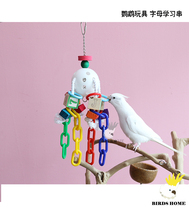 Bird head parrot gnawing toy learning letter string small and medium parrot toy