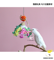 Bird head parrot bite toy macaroon Candy Ball small and medium parrot toy