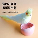 Керамическая чаша попугая молодые птицы учатся есть птицы и бокс -коробку для бокса с водой xuanfeng parrot cage аксессуары Daquan