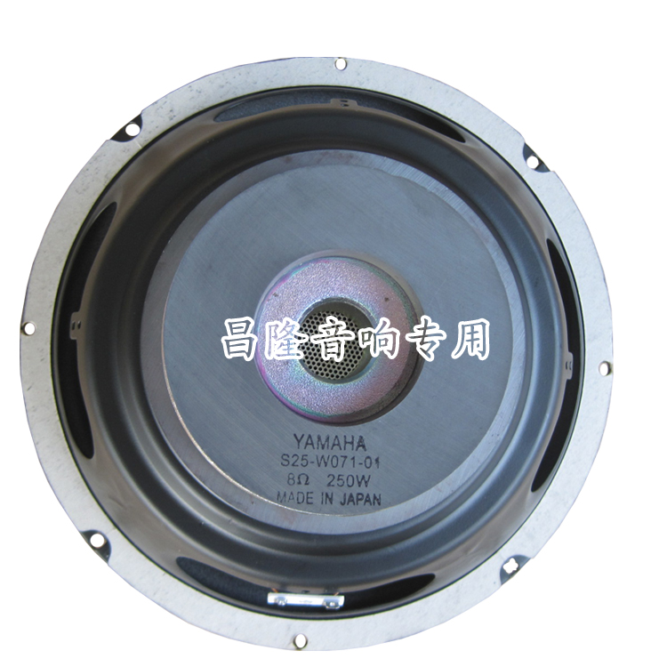 yamaha 10 inch speakers