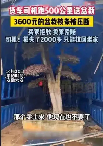 司机运盆栽倒贴2000元！500公里挣600元，赔1500元还白跑、冤不冤