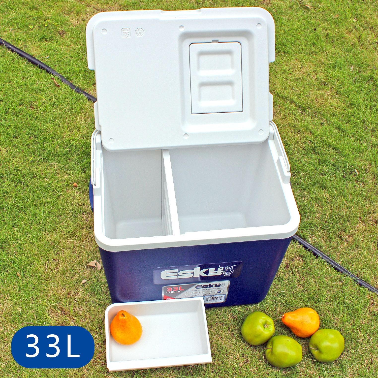 Esky Incubator Refrigerator 33L Outdoor Car Refrigerator Fishing BBQ Preservation Plastic Ice Bucket Insulation Foam