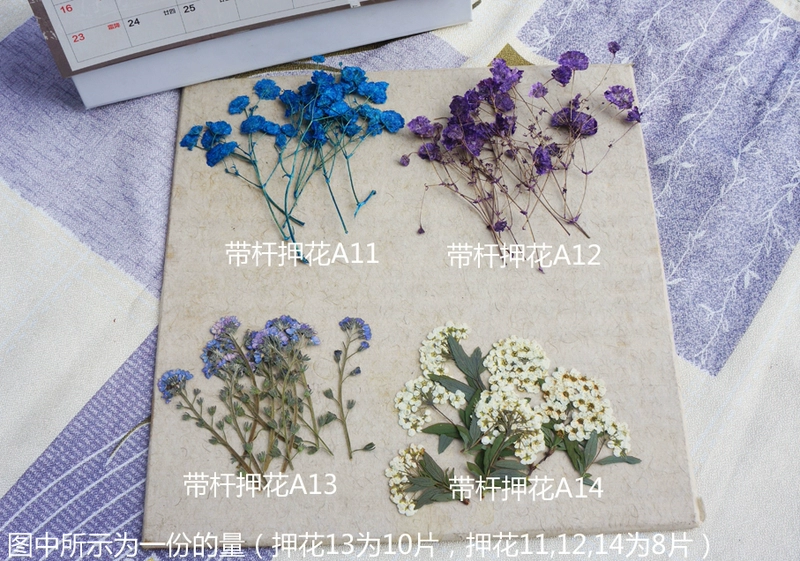 Vật liệu tự làm Yi Khánhge đầy sao, hoa, hoa thật, trang sức, thả pha lê, vỏ điện thoại di động, vòng đeo tay, chất liệu hoa khô - Vòng đeo tay Cuff vòng tay lv