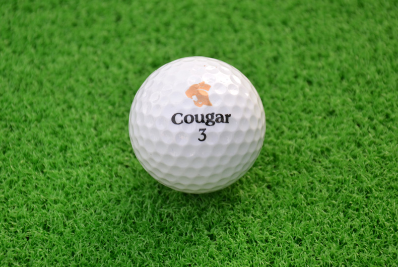 Jaguar Golf Bóng hai lớp Bóng tập tiếp theo Bóng tiếp theo Bóng mới chưa sử dụng gậy golf ping
