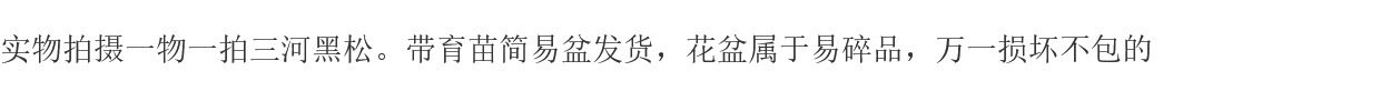 Бонсаи 实物拍摄一物一拍黑松造型盆景掌中宝一手托小老桩矮霸三河松树