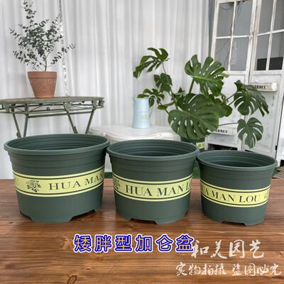 The thickened second-generation short gallon pot is a cost-effective flowerpot suitable for plants with shallow root systems