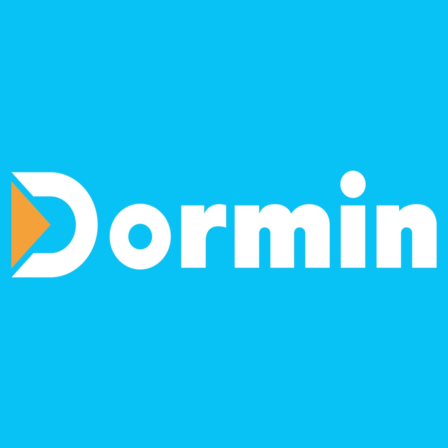 Dormin潮玩店