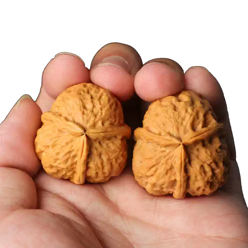 野生三棱鐵核桃文玩核桃把玩粗筋金蟾核桃蛤蟆頭大核桃收藏