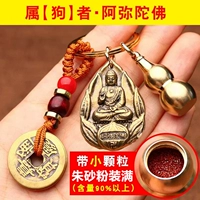 Медная Амитабха пять Императоров Деньги тыква Циннабар Полно -лонги для опекуна собаки