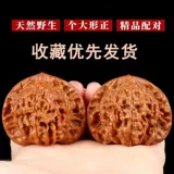 Венван ореховый официальный шляпа Четырехэтажная здание Lion Head Head Head Head Heald Piece Machine Brush Patten Men Antique Walnut Ручной