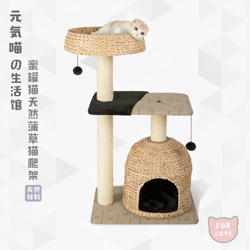 Meta Gas Meow -- Honeypot Cat Climbing Shelf Feline Cat Tree Cat Rack Solid Wood Large Kitty Toy Cat House Pet Supplies