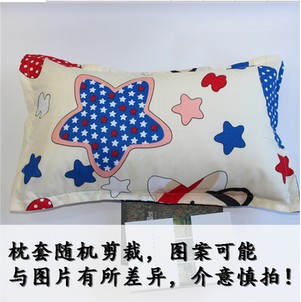 Pillowcase gói một cặp lớn dành cho người lớn toàn bộ sinh viên 48 * 74 bông gối đơn đặt một cặp