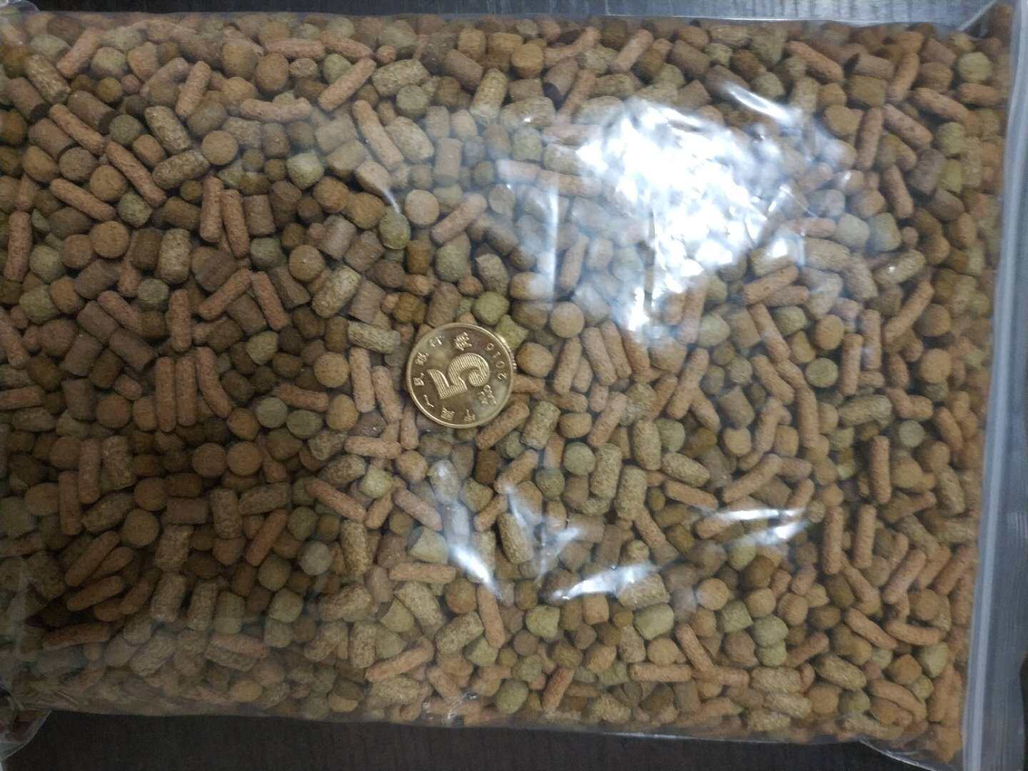 高够力基础粮命脉育归鼎欣善玉菌龟宝宝龟粮6