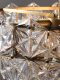 American-Style Light Luxury Chandelier, Living Room and Bedroom Lamp, Modern Crystal Lamp, Nordic Creative Dining Room Lighting, Zhongshan Manufacturer Direct Sales