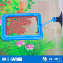 Fish tank feeding ring buoyant fish grain feeding Circle Round Square small aquarium tropical fish fixed-point feeder