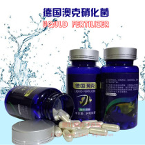 Nitrifying bacteria Imported aquarium Nitrifying bacteria Dry powder fish tank Water purification Digestive bacteria Nitrifying bacteria Capsules